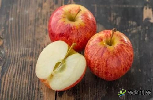 蘋果冷庫儲藏特點，保鮮冷庫造價及影響因素(圖1)