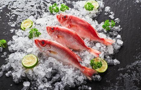 海鮮在冷庫中儲存的方式特點？(圖1)