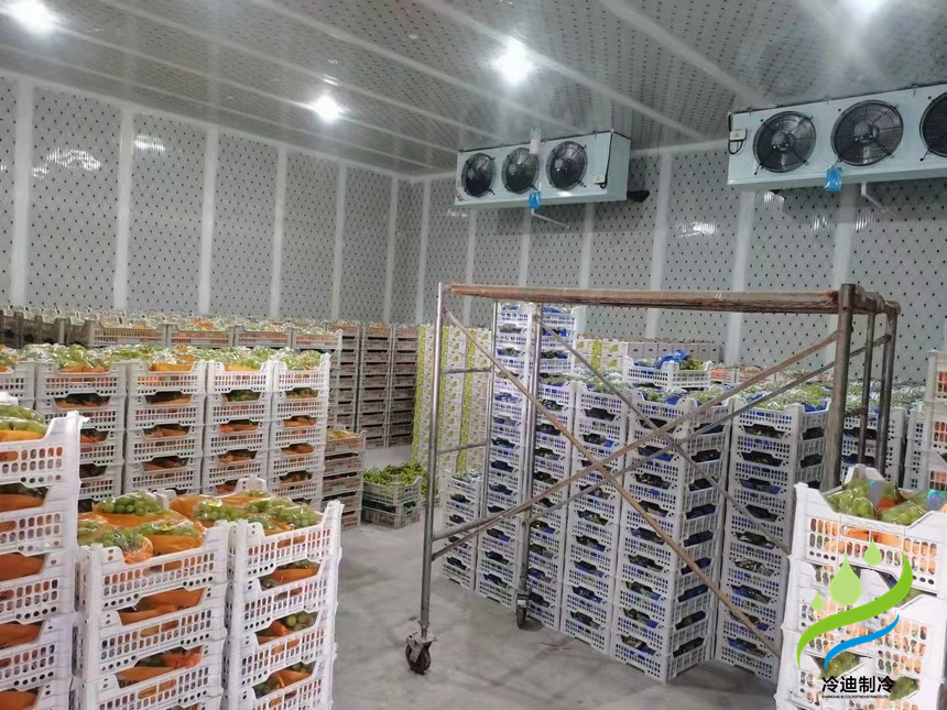 建造氣調冷庫多大一間比較合適？