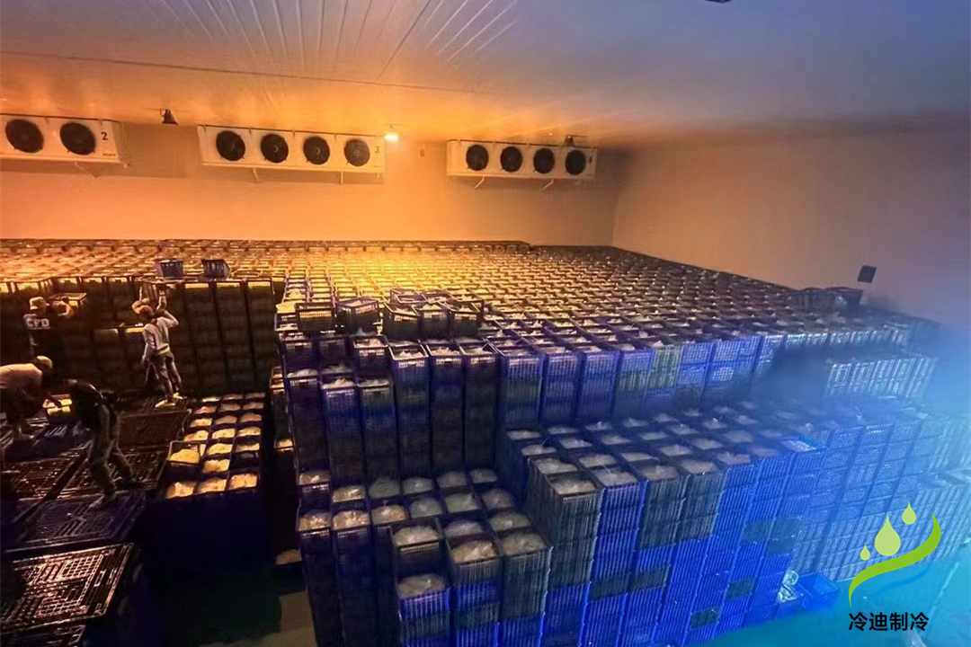 1000立方冷庫可以存多少噸？用多大制冷設備？