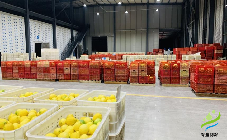 建造一個橙子冷庫需要多少錢？(圖1)