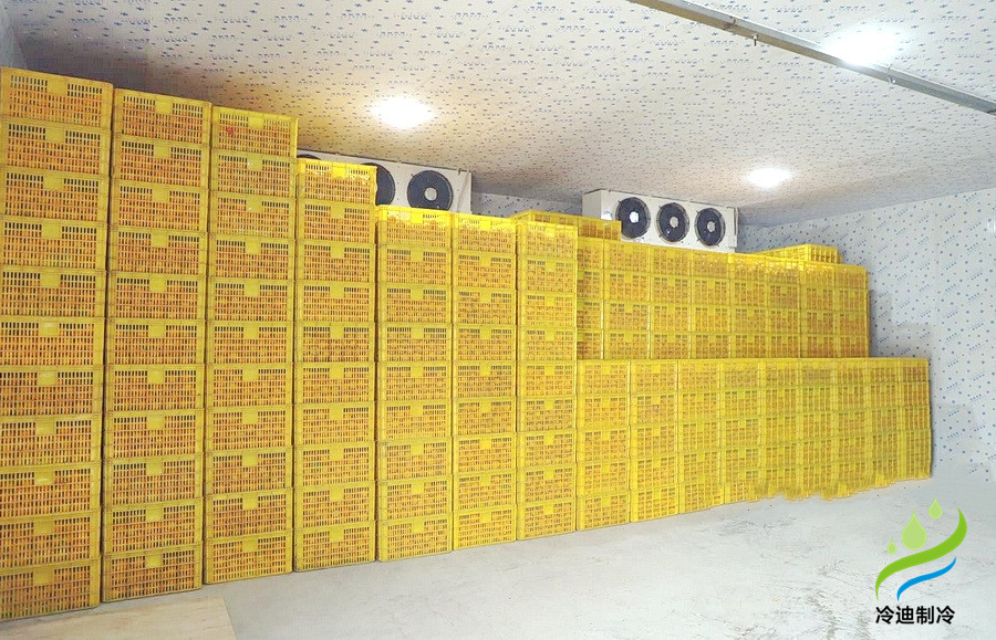建造一個橙子冷庫需要多少錢？(圖2)