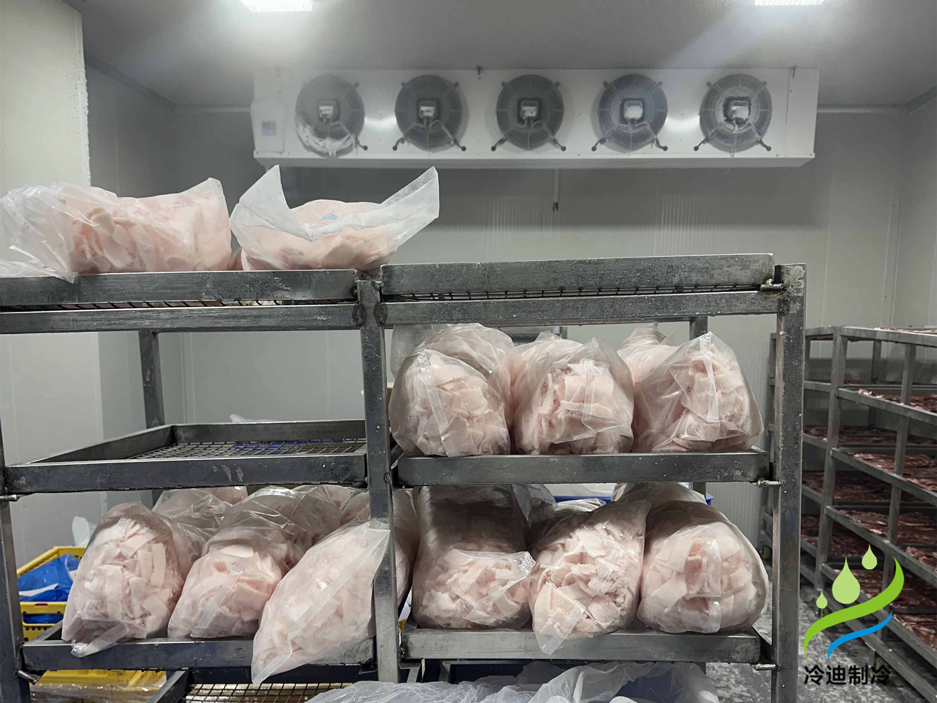 建造一座30噸冷庫造價需要多少錢？