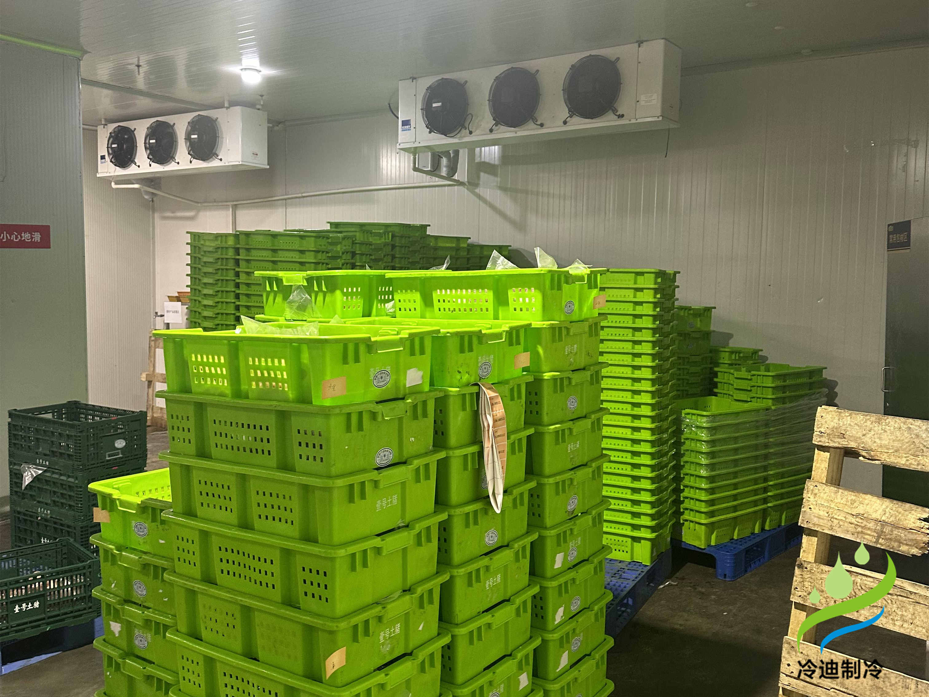 建造一座30噸冷庫造價需要多少錢？